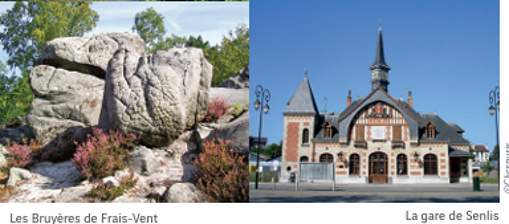 VDD9V 2 PIECES SENLIS (60300) 5 Livraison : octobre ....