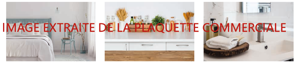LVID400QQ 4 PIECES GARCHES (92380) 11 Livraison : oc....
