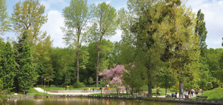  Maison � vendre 5 pi�ces 12448 m�