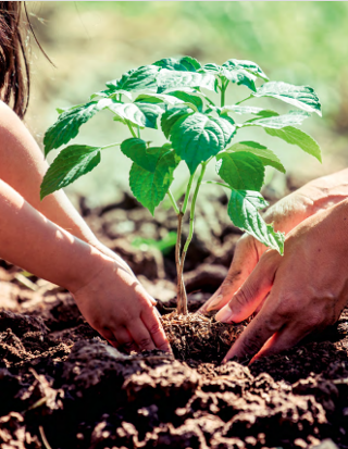  Appartement � vendre 2 pi�ces 38 m�