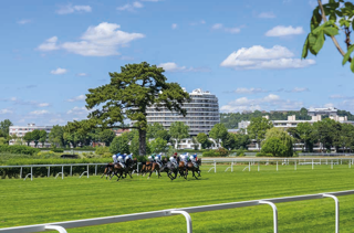  Appartement � vendre 4 pi�ces 75 m�