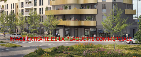 Image Annonce
