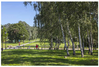  Appartement � vendre 2 pi�ces 42 m�