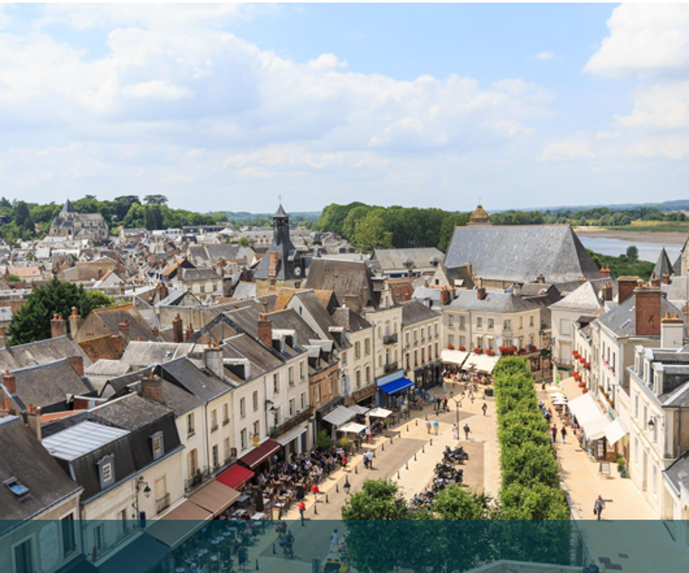   Amboise (37400)