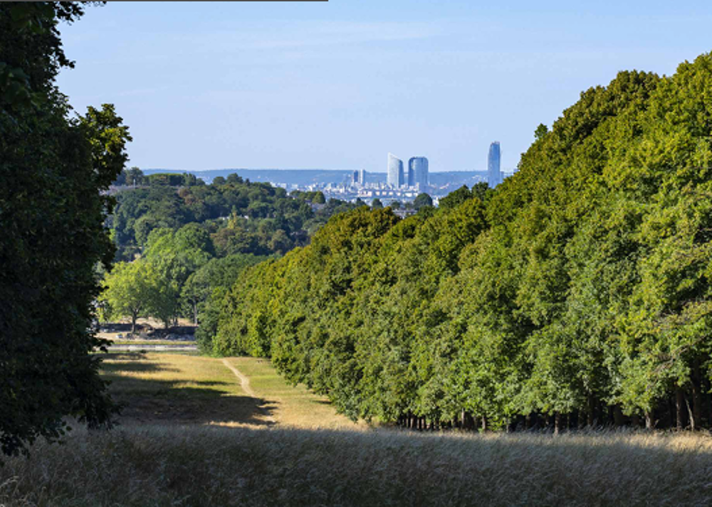   Clamart (92140)