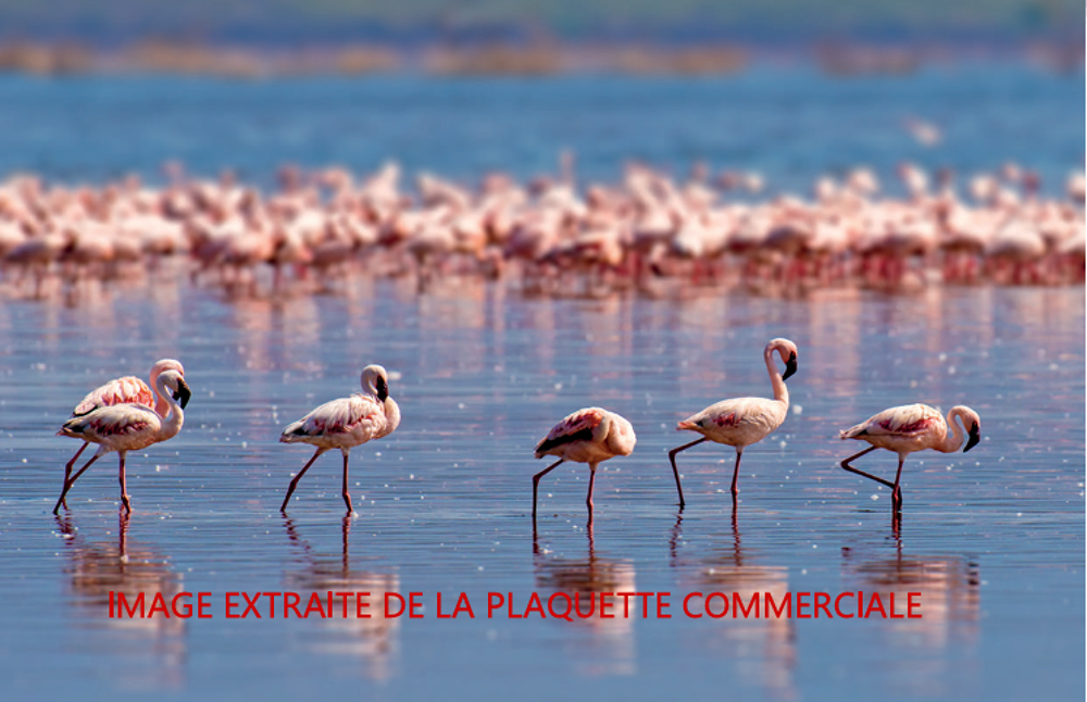   Mauguio-Carnon-Plage (34130)