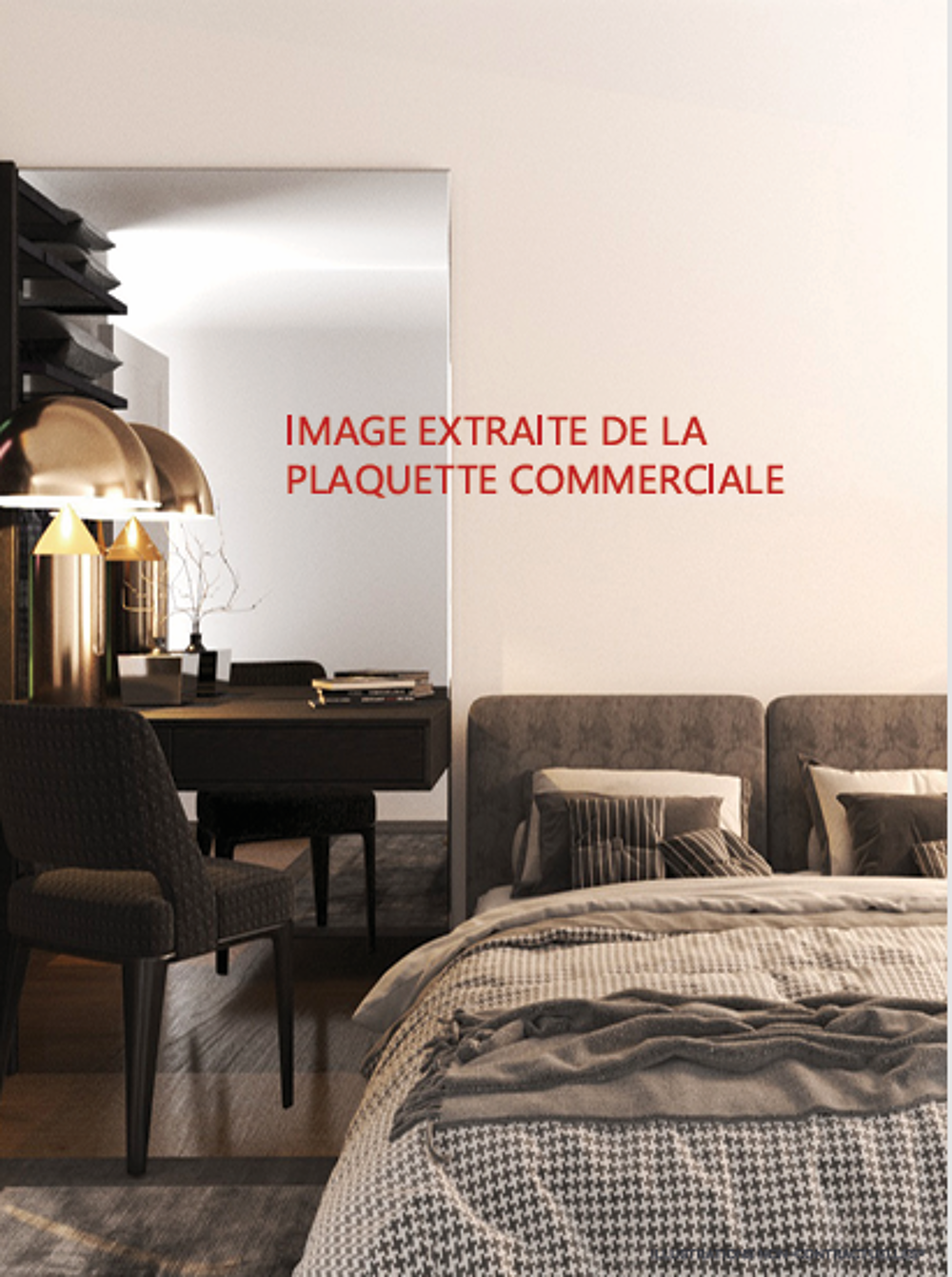 NVB250KK MAISON 4 PIECES ROSNY-SOUS-BOIS (93110) Liv....