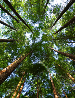  Appartement � vendre 4 pi�ces 98 m�