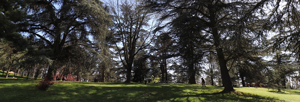 vente Appartement - 1 pi�ce(s) - 34 m� Bron (69500)