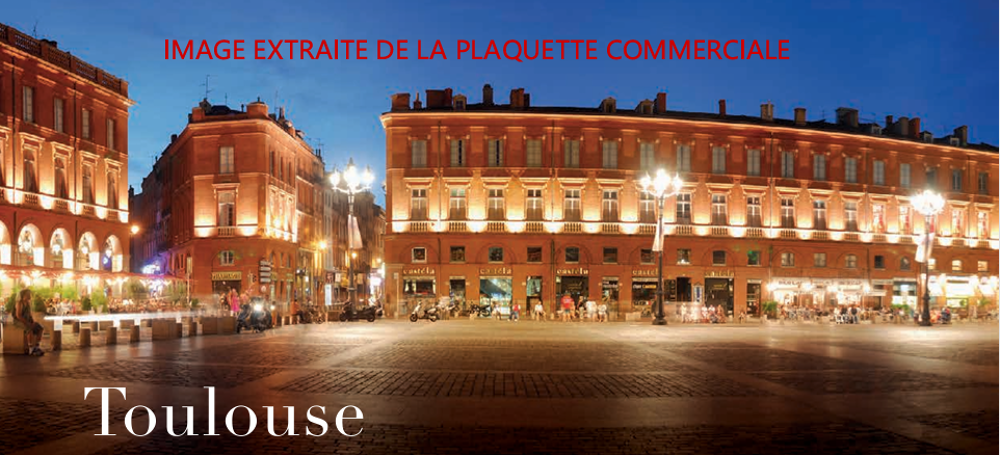   Toulouse (31100)
