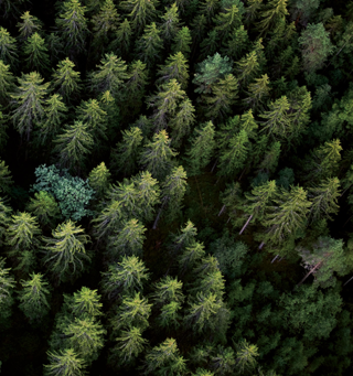  Appartement � vendre 3 pi�ces 65 m�