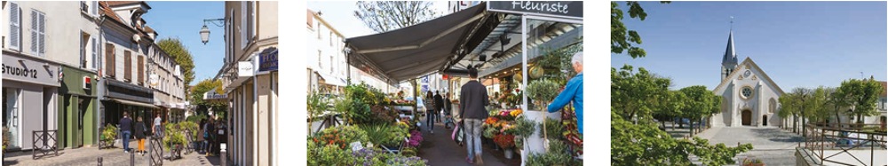  vendre  Maison Antony (92160)