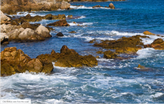  Appartement � vendre 2 pi�ces 42 m�