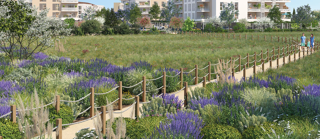  Appartement � vendre 2 pi�ces 36 m�