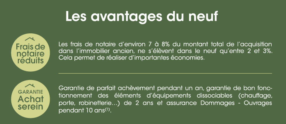 N20DFPP 2 PIECES ANGERS (49000) 2 Livraison : mars 2....
