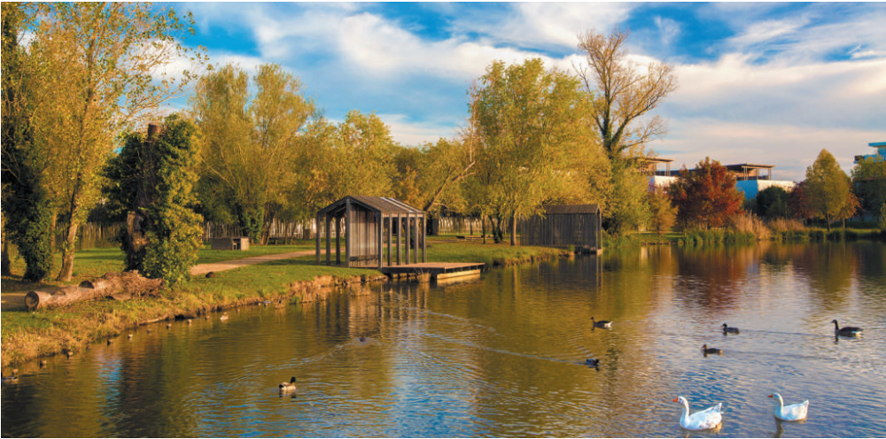   Sainte-Catherine (62223)