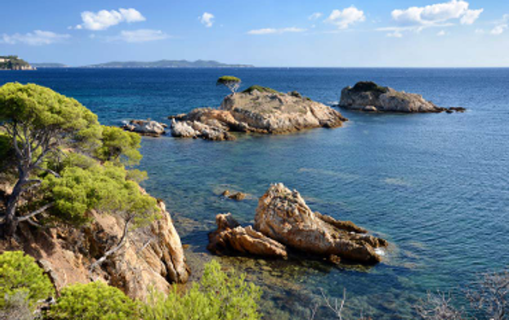   Bormes-les-Mimosas (83230)