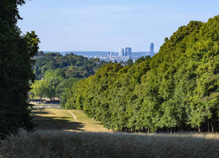  Appartement � vendre 4 pi�ces 86 m�