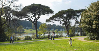  Appartement � vendre 3 pi�ces 64 m�