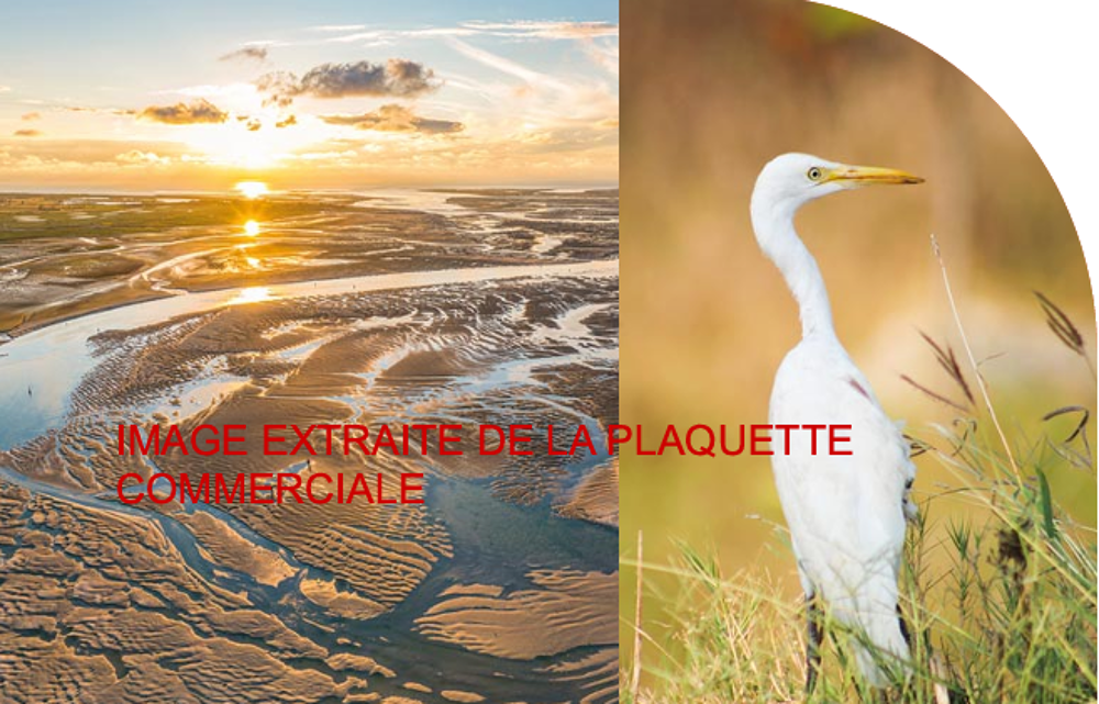 VYUR823V 2 PIECES CAYEUX-SUR-MER (80410) 2 Livraison....