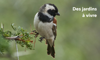  Appartement � vendre 3 pi�ces 62 m�