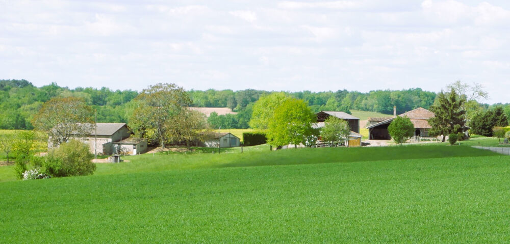 Vente Propriété/Château Ferme en pierre à rénover   dépendances, 1,5 ha de terrain et vue panoramique   idéal gîtes ou chambres d'hôte Beaupuy