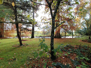  Proprit/chteau  vendre 15 + pices 608 m