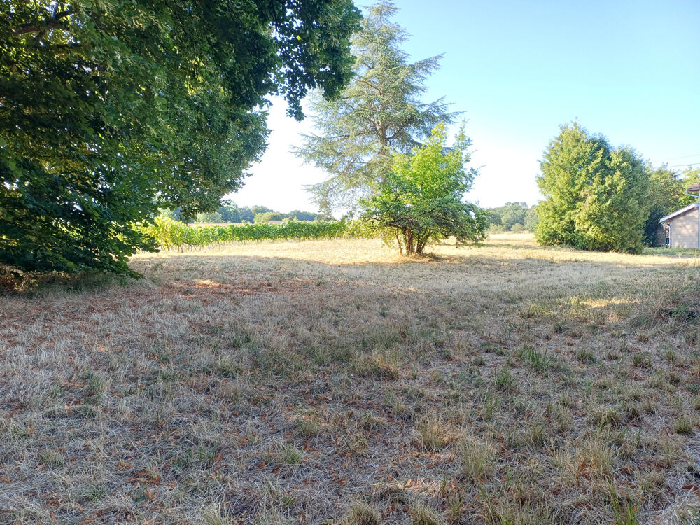 Vente Maison ANCIENNE FERMETTE A RENOVER St ciers champagne