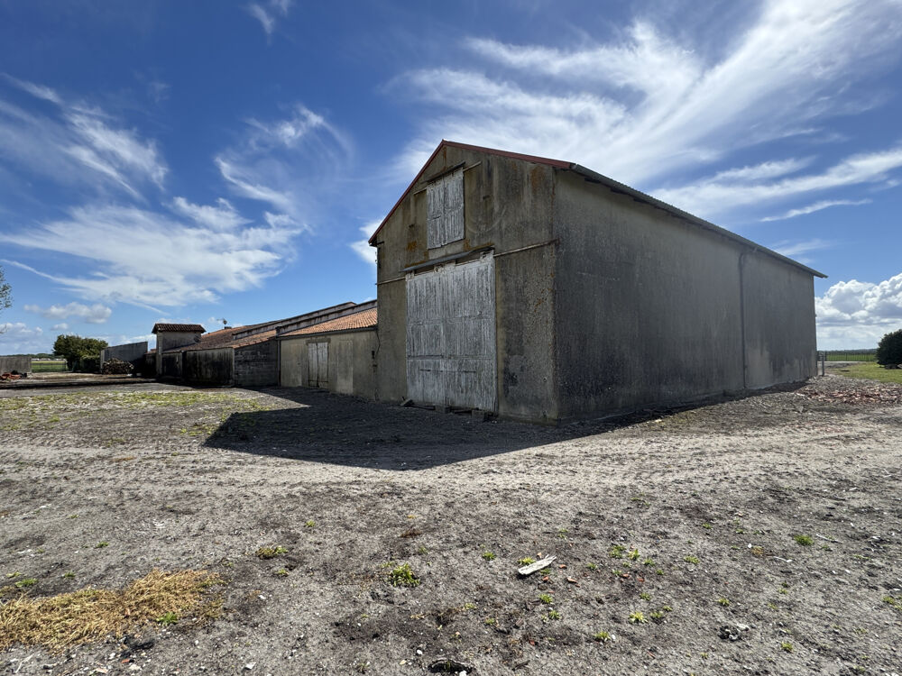 � vendre  Propri�t�/ch�teau M�dis (17600)