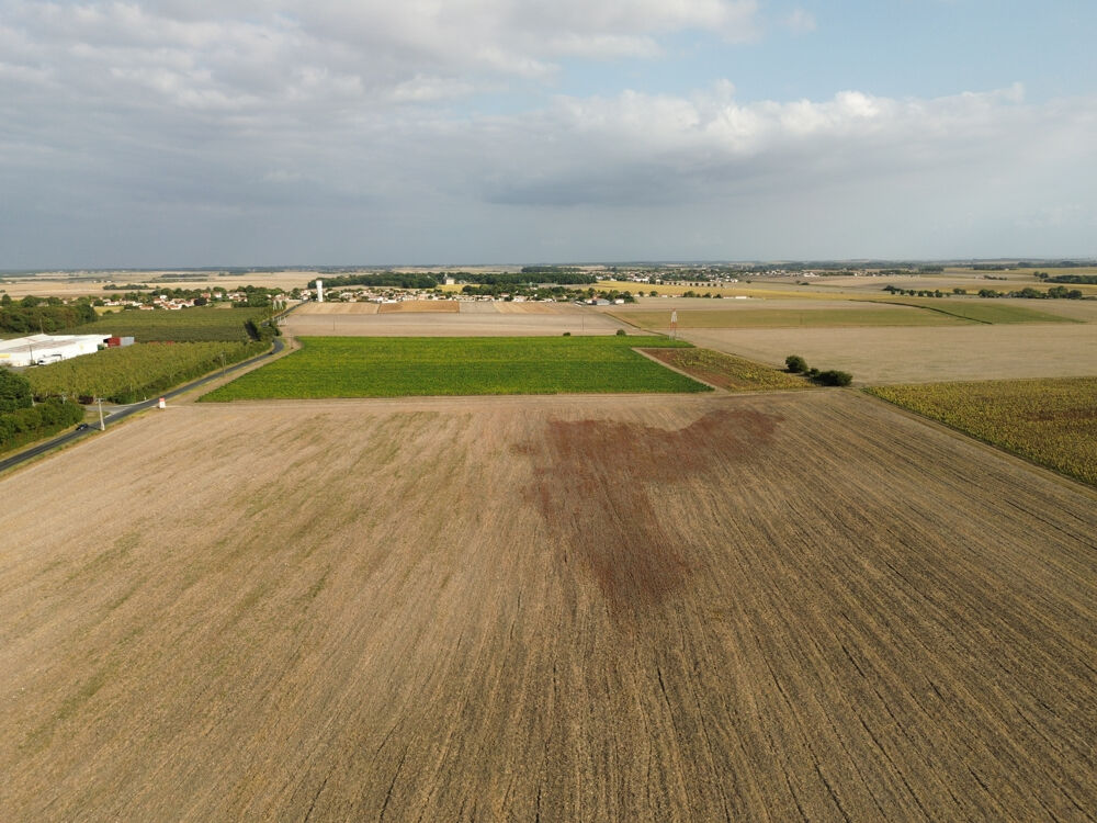 � vendre  Propri�t�/ch�teau M�dis (17600)