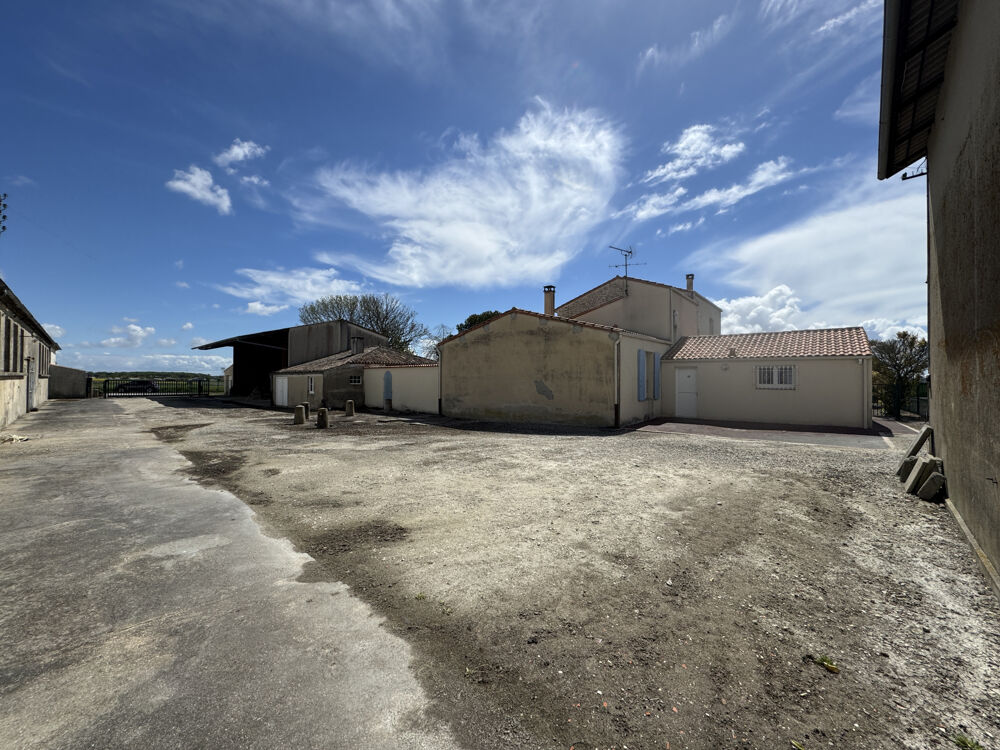 � vendre  Propri�t�/ch�teau M�dis (17600)