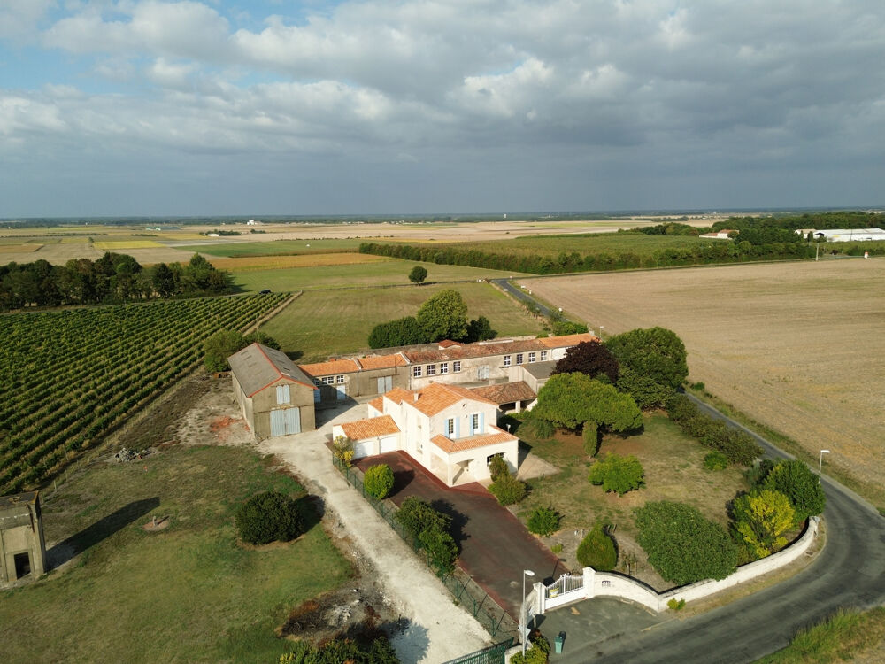 � vendre  Propri�t�/ch�teau M�dis (17600)