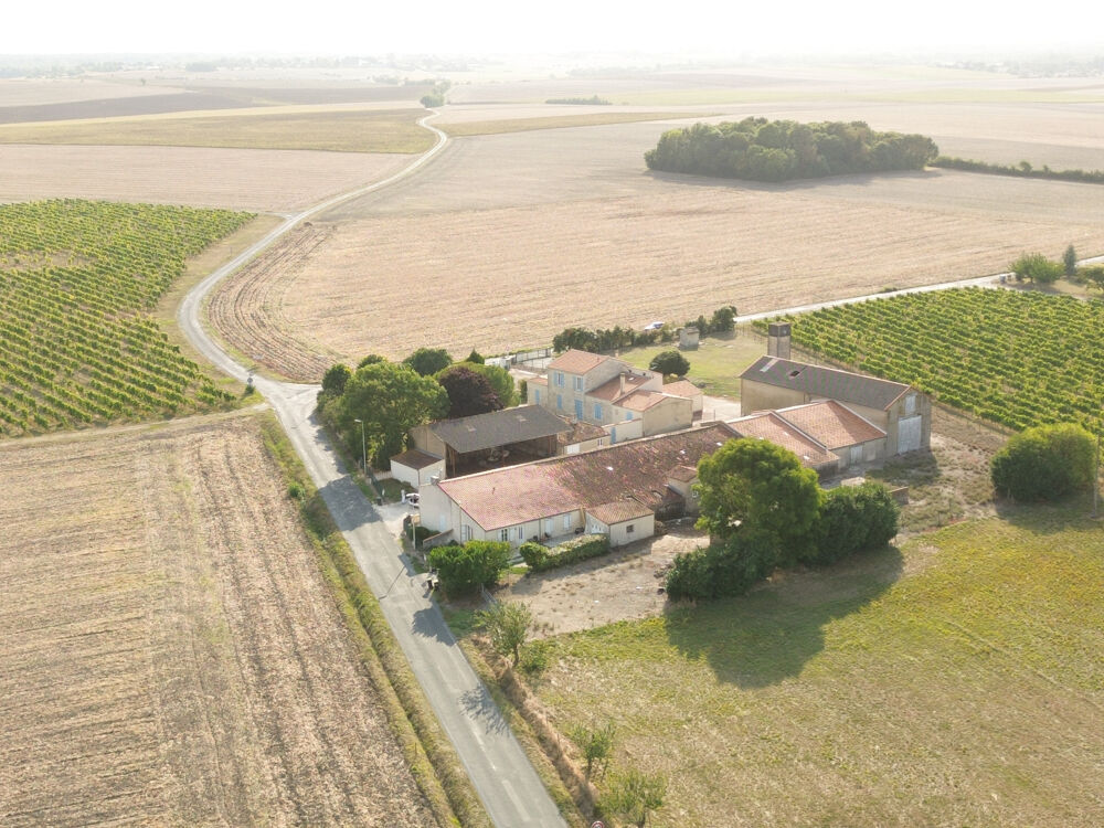 � vendre  Propri�t�/ch�teau M�dis (17600)