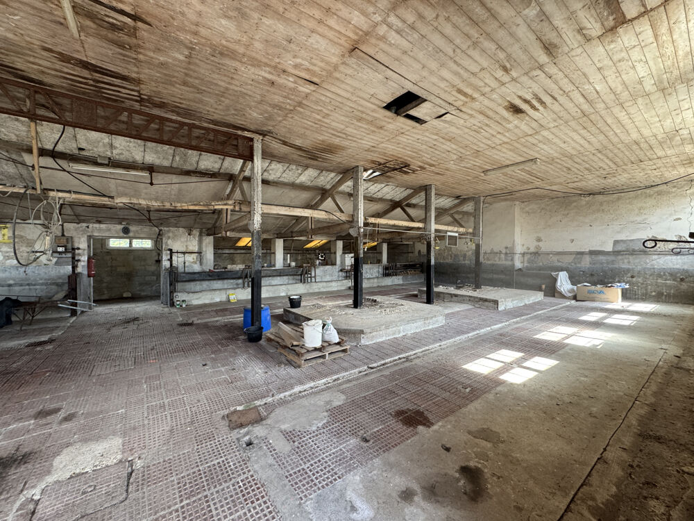 � vendre  Propri�t�/ch�teau M�dis (17600)