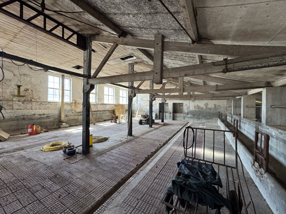 � vendre  Propri�t�/ch�teau M�dis (17600)