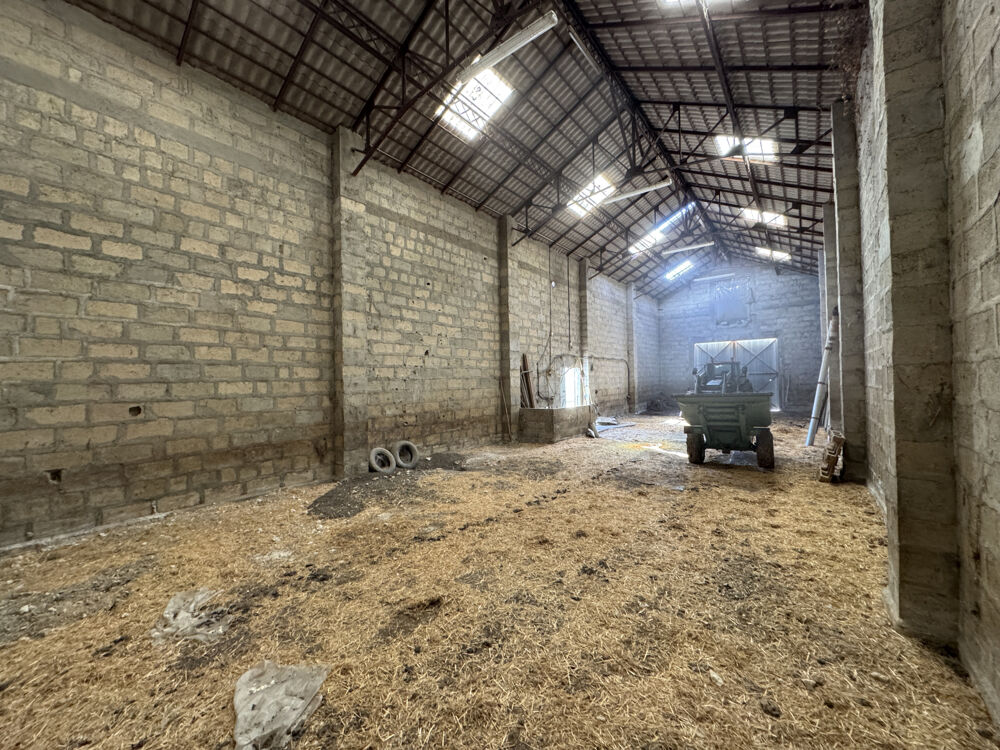 � vendre  Propri�t�/ch�teau M�dis (17600)