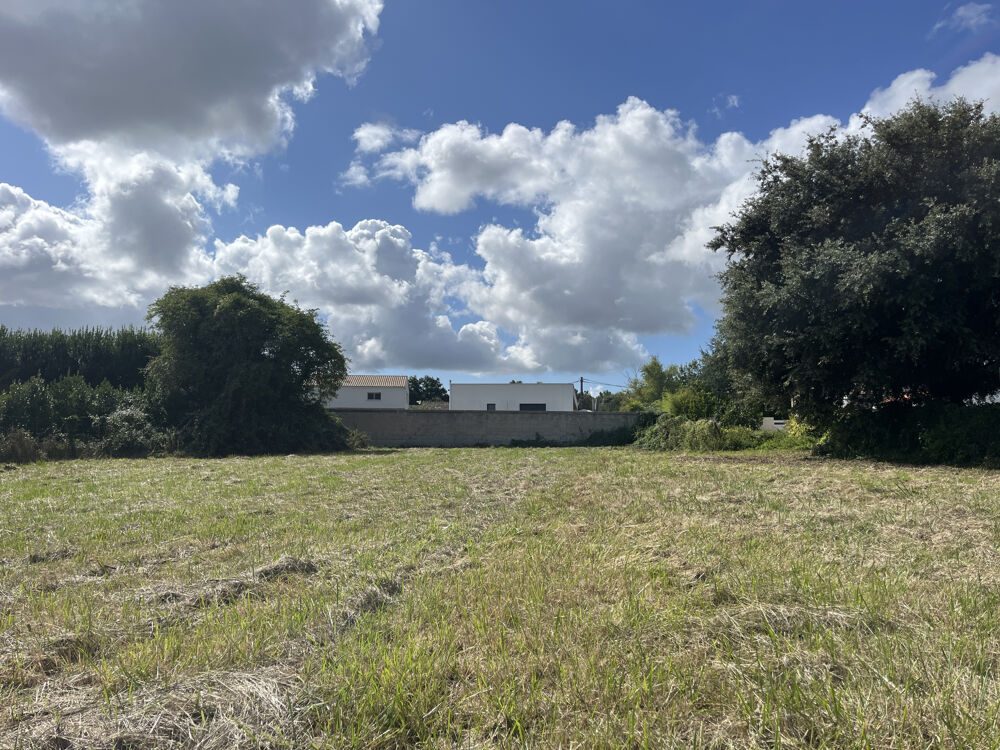 Vente Terrain TERRAIN CONSTRUCTIBLE DE 1513 m2 Medis