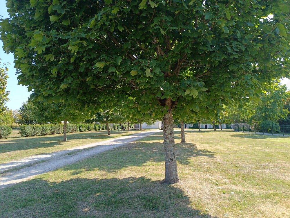 � vendre  Maison Mortagne-sur-Gironde (17120)