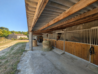  Propriété/château à vendre 5 pièces 217 m²