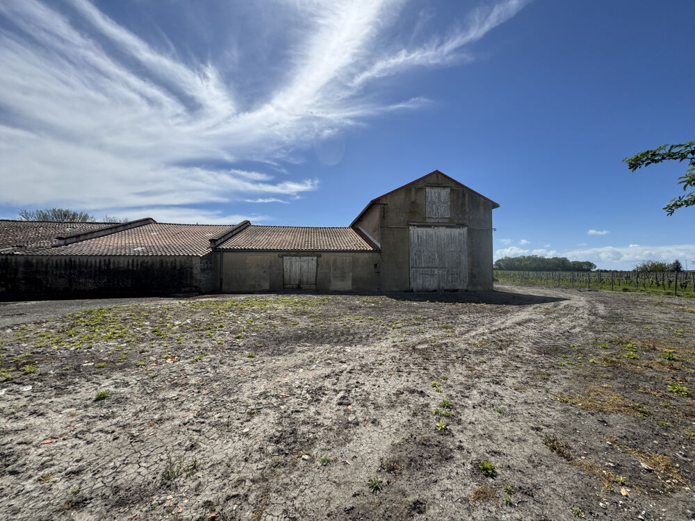 � vendre  Propri�t�/ch�teau M�dis (17600)