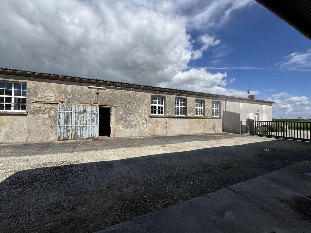 � vendre  Propri�t�/ch�teau M�dis (17600)