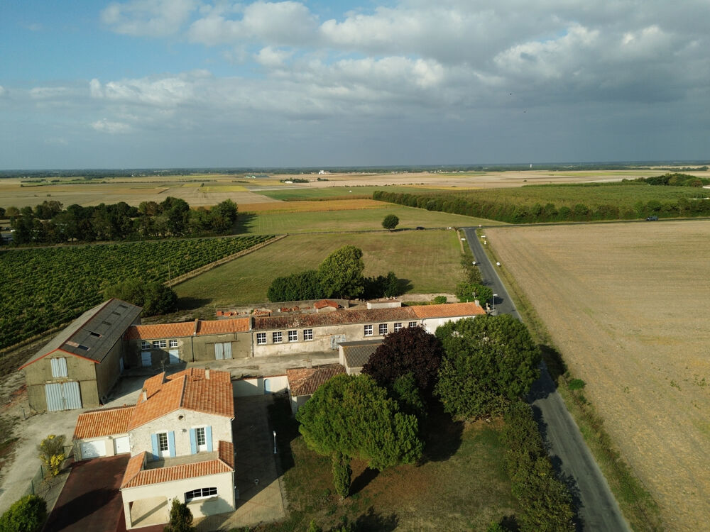 � vendre  Propri�t�/ch�teau M�dis (17600)