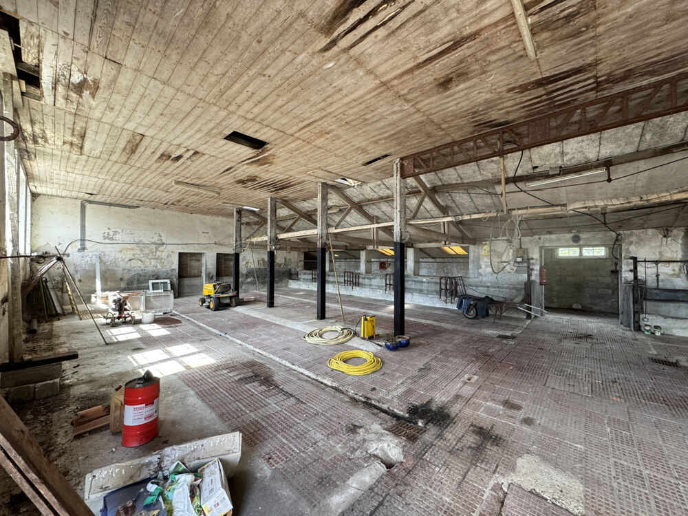 � vendre  Propri�t�/ch�teau M�dis (17600)