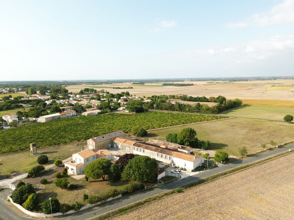 � vendre  Propri�t�/ch�teau M�dis (17600)