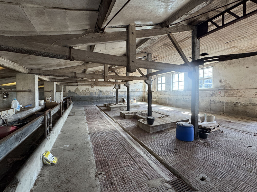 � vendre  Propri�t�/ch�teau M�dis (17600)