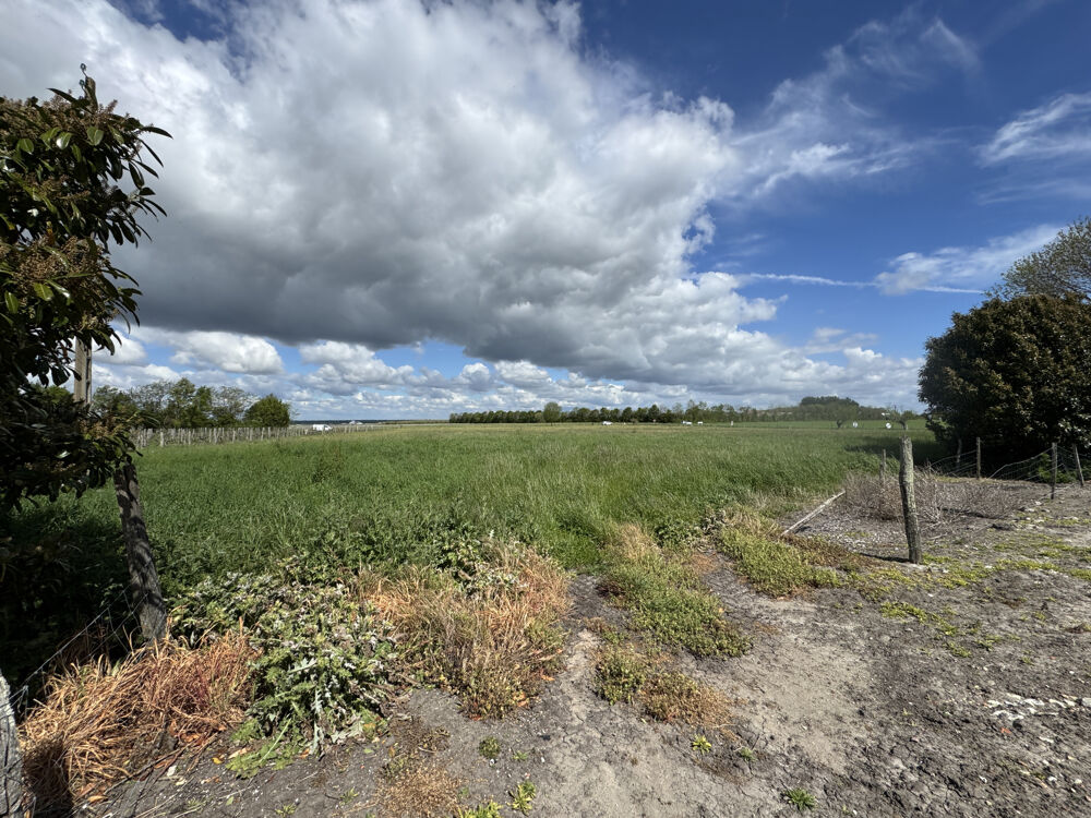 � vendre  Propri�t�/ch�teau M�dis (17600)