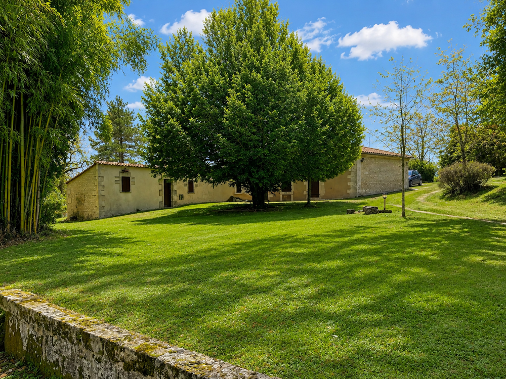 à vendre  Propriété/château Barbezieux-Saint-Hilaire (16300)