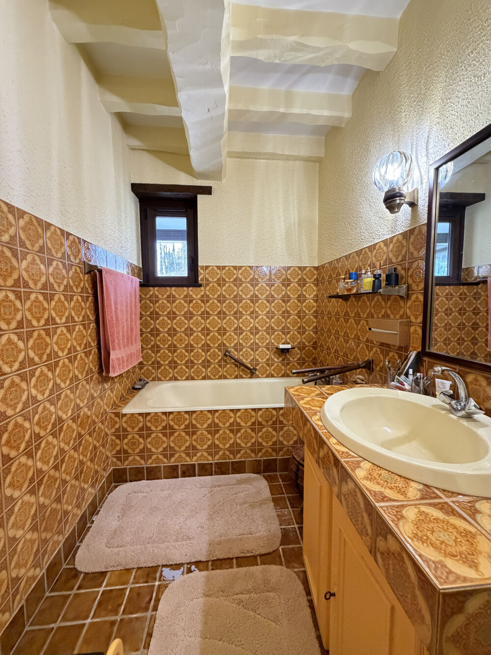 � vendre  Propri�t�/ch�teau Saint-M�dard (36700)