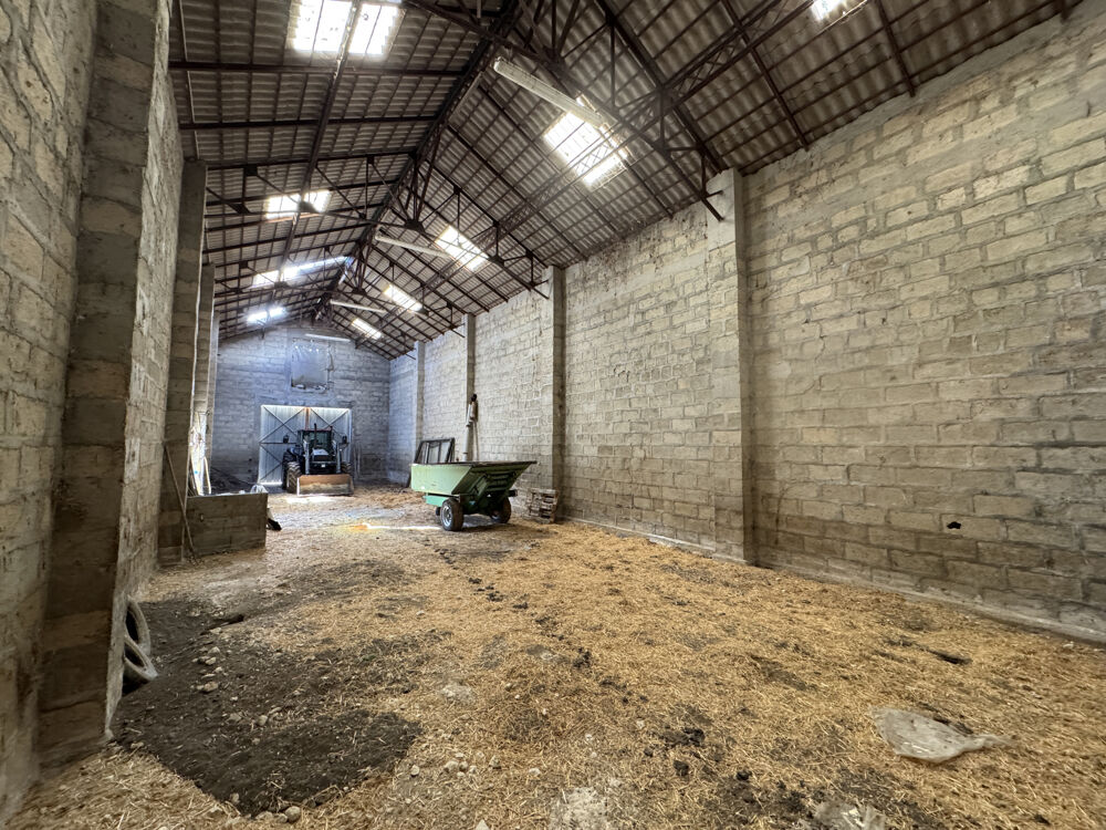 � vendre  Propri�t�/ch�teau M�dis (17600)