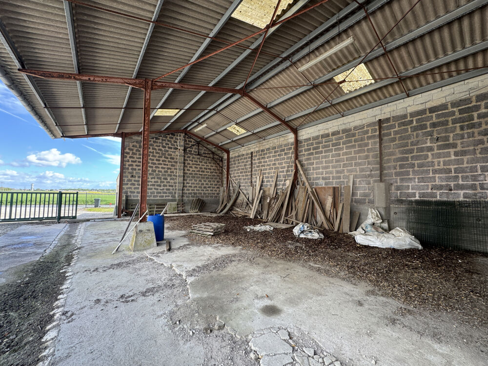 � vendre  Propri�t�/ch�teau M�dis (17600)